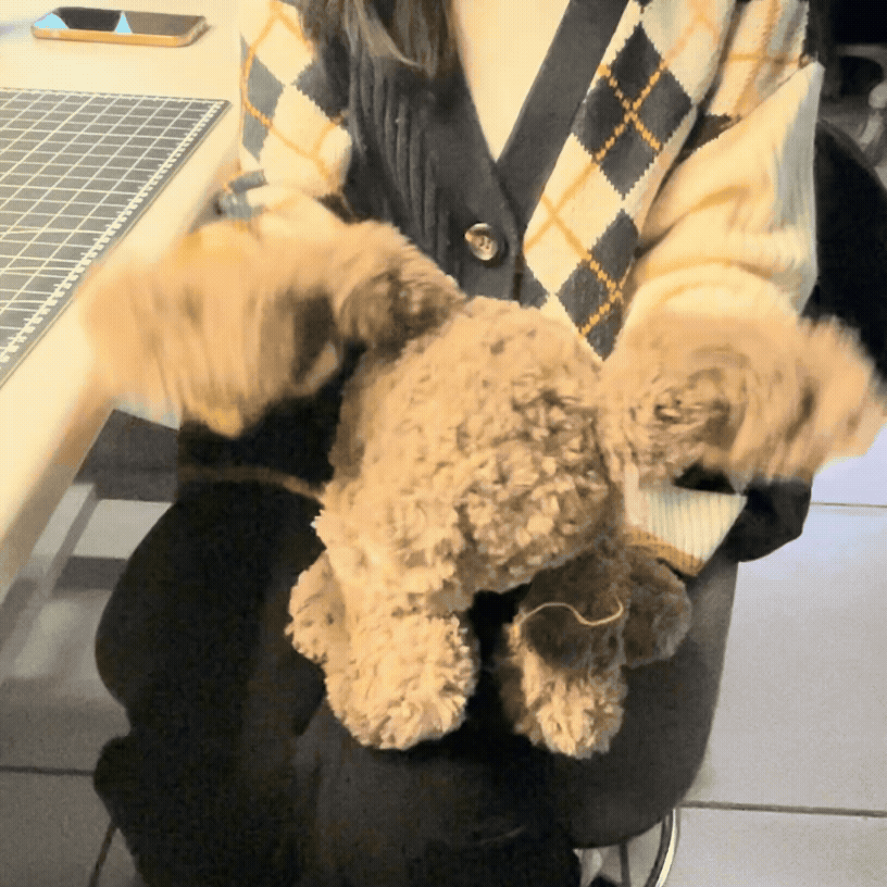 My partner Lucy and I tested our plushies with our classmates. We wanted to see how people would interact with them without instructions. We noticed we had a broad range of reactions.