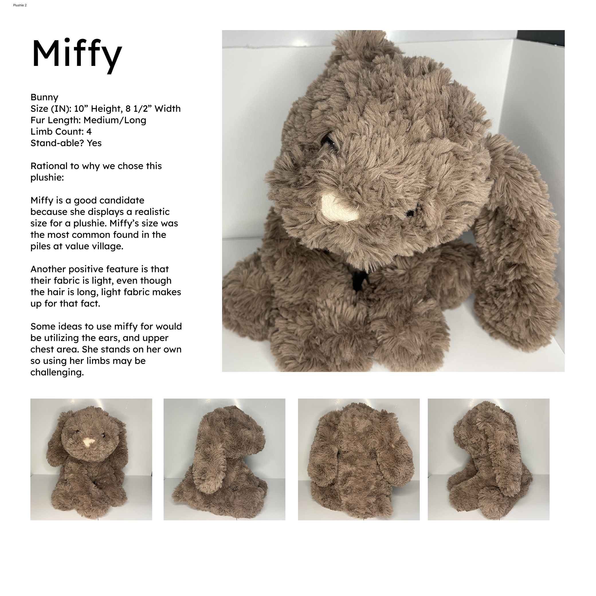 Our group then analyzed different plushies that would work well as a health companion. This was one of our final candidates